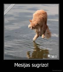 Mesijas sugrizo! - 