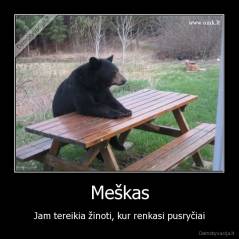 Meškas - Jam tereikia žinoti, kur renkasi pusryčiai