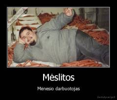 Mėslitos - Mėnesio darbuotojas