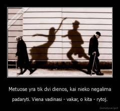 Metuose yra tik dvi dienos, kai nieko negalima - padaryti. Viena vadinasi - vakar, o kita - rytoj.
