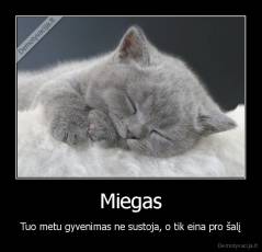 Miegas - Tuo metu gyvenimas ne sustoja, o tik eina pro šalį