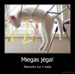Miegas jėga! - Nesvarbu kur ir kada