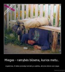 Miegas - ramybės būsena, kurios metu..  - organizmas, iš dalies praradęs kontaktą su aplinka, aktyviai atkuria savo jėgas.