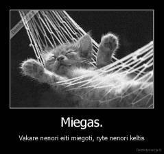 Miegas. - Vakare nenori eiti miegoti, ryte nenori keltis