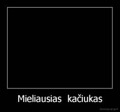 Mieliausias  kačiukas - 