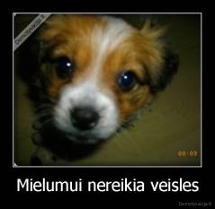 Mielumui nereikia veisles - 