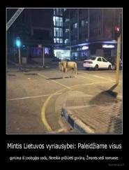 Mintis Lietuvos vyriausybei: Paleidžiame visus - gyvūnus iš zoologijos sodų. Nereikia prižiūrėti gyvūnų. Žmonės sėdi namuose.