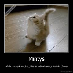 Mintys - ka Dalai Lamos paklausė, kas jį labiausiai stebina žmonijoje, jis atsakė: "Žmogu
