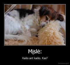 Mįslė: - Kailis ant kailio. Kas?