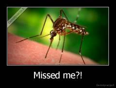 Missed me?! - 