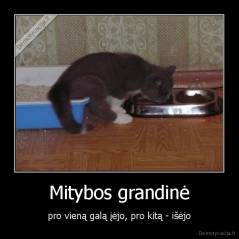 Mitybos grandinė - pro vieną galą įėjo, pro kitą - išėjo