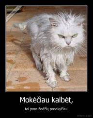 Mokėčiau kalbėt, - tai pora žodžių pasakyčiau