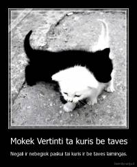 Mokek Vertinti ta kuris be taves - Negali ir nebegiok paskui tai kuris ir be taves laimingas.