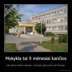 Mokykla tai 9 mėnesiai kančios - kaip nėščiai moteriai nelengva, o ant pačio galo sunkiai, bet laimingai.