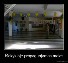Mokykloje propaguojamas melas - 