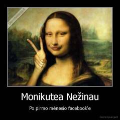 Monikutea Nežinau - Po pirmo mėnesio facebook'e