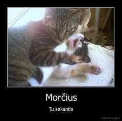 Morčius - Tu sekantis