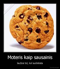 Moteris kaip sausainis - laužosi tol, kol sudrėksta
