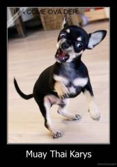 Muay Thai Karys - 