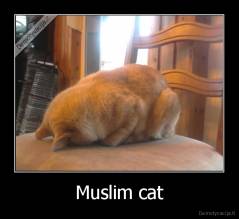 Muslim cat - 