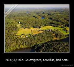 Mūsų 3,5 mln. Jei emigravo, nereiškia, kad nėra. - 