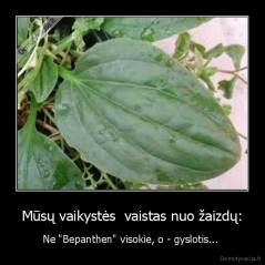 Mūsų vaikystės  vaistas nuo žaizdų: - Ne "Bepanthen" visokie, o - gyslotis... 