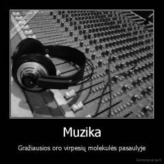 Muzika - Gražiausios oro virpesių molekulės pasaulyje