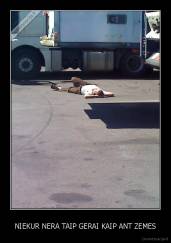 NIEKUR NERA TAIP GERAI KAIP ANT ZEMES - 