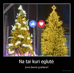 Na tai kuri eglutė  - jums šiemet gražesnė?