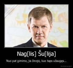 Nag[lis] Šu[lija] - Nuo pat gimimo, jis žinojo, kuo taps užaugęs...
