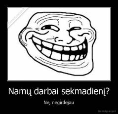 Namų darbai sekmadienį? - Ne, negirdejau