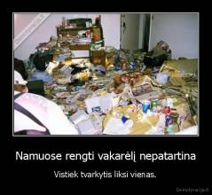 Namuose rengti vakarėlį nepatartina - Vistiek tvarkytis liksi vienas.