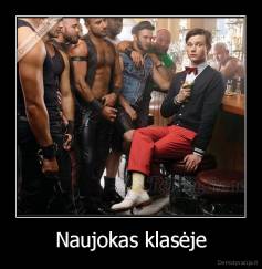 Naujokas klasėje - 