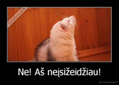 Ne! Aš neįsižeidžiau! - 