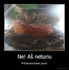 Ne! Aš neturiu - Priklausomybės picai!