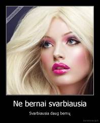 Ne bernai svarbiausia - Svarbiausia daug bernų