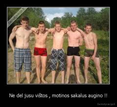 Ne del jusu vištos , motinos sakalus augino !! - 