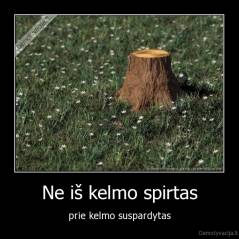 Ne iš kelmo spirtas - prie kelmo suspardytas