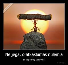 Ne jėga, o atkaklumas nulemia - didelių darbų įvykdymą.