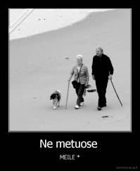 Ne metuose  - MEILE *
