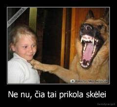 Ne nu, čia tai prikola skėlei  - 