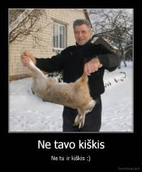 Ne tavo kiškis - Ne tu ir kiškis :)