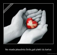 Ne visada įskaudinta širdis,gali plakti du kartus  - 