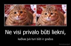 Ne visi privalo būti liekni, - kažkas juk turi būti ir gražus