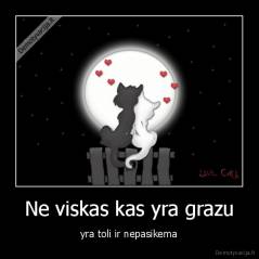 Ne viskas kas yra grazu - yra toli ir nepasikema