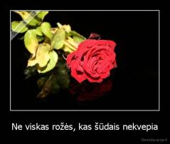Ne viskas rožės, kas šūdais nekvepia - 