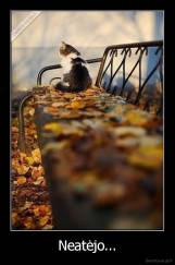 Neatėjo... - 