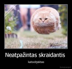 Neatpažintas skraidantis  - katoobjektas