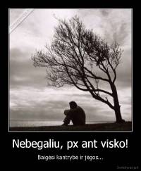 Nebegaliu, px ant visko! - Baigėsi kantrybė ir jėgos...