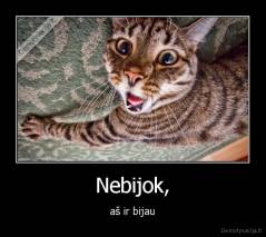 Nebijok, - aš ir bijau